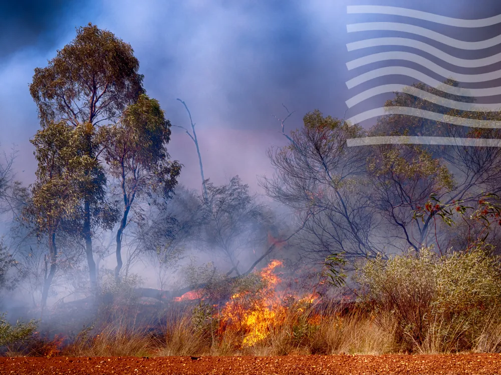 Bushfire burning through scrub, with smoke drifting across the treeline